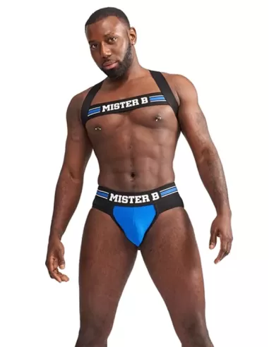 Club Harness X-Back Striped Blue